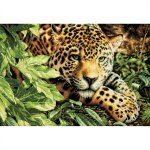Gold Collection Leopard In Repose Counted Cross Stitch Kit (image for) Gold Collection Leopard In Repose Counted Cross Stitch Kit
